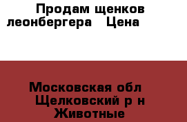 Продам щенков леонбергера › Цена ­ 50 000 - Московская обл., Щелковский р-н Животные и растения » Собаки   